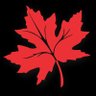 Kashmir Pulse's profile picture