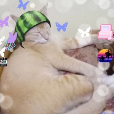 MeirinView's profile picture