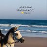 برهان أحمد 的头像