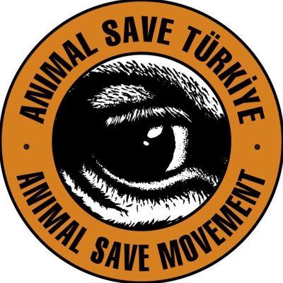 Animal Save Türkiye's profile picture