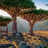 امير الظلام 的头像