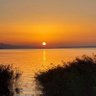Hızlı Talebe profil fotoğrafı