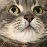 Corro FR profil fotoğrafı