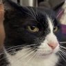 Profilbild von Devon