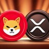 Kid Crypto 的头像