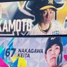 Фото профиля あもん(タネー)＠⚾️&MCZ🟡