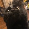 Neel Matchkus's profile picture