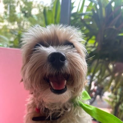 rosemcgowan's profile picture