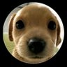 Teco's profile picture