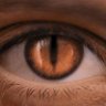 fOXdAdA's profile picture