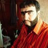 kayisi profil fotoğrafı