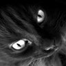 สลิ่มฌิไฮนิน🐱🛵👻 profil fotoğrafı
