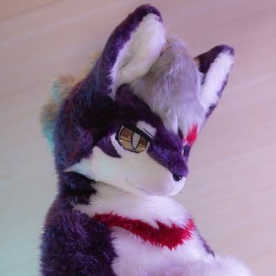 dreamnight0821's profile picture