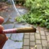 B 的头像
