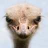 Jeffrey R Tablecounter's profile picture