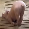 一瓶快乐水 的头像
