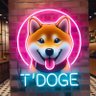 Фото профиля TDOGE51