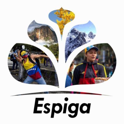 Espiga Noticias's profile picture