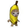Profilbild von Bananarama