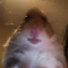 Krathos12's profile picture