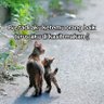 coki coki profil fotoğrafı
