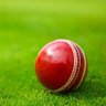 CricketNdBeyond profil fotoğrafı
