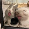 EchoesOfExistence's profile picture