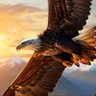 Фото профиля Hawk-Eye
