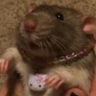 big guy profil fotoğrafı