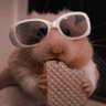 mah's profile picture