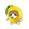 C.S 🍋|🐶🧡🦁 的头像