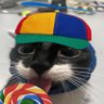not Poul btw's profile picture