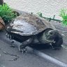 Фото профиля ぽんたさん