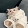 ふかまる's profile picture