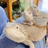 Фото профиля すーさん@story