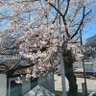 ひー's profile picture