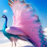 M.R.N profil fotoğrafı