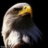 Diako profil fotoğrafı