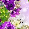 Фото профиля danoriwa