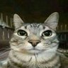 LeFleazz 🇫🇷🐝 profil fotoğrafı