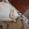William Brian Dolan's profile picture