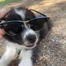Profilbild von FrenchTaz