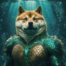 Aqua Ðoge profil fotoğrafı