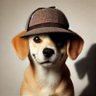 Profilbild von Shadow Paw