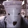 Profilbild von Niggaz In