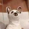 Profilbild von isrbtw