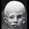 BertDerpDerp 的头像