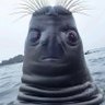 @rno's profile picture