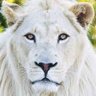 Profilbild von Nala8190