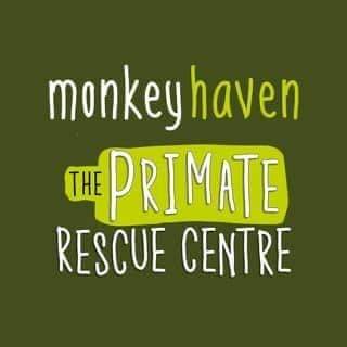 MonkeyIOW's profile picture